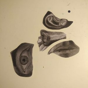 Gesichtssortierung III